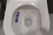 61